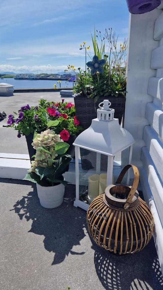 Rosie'S Apartments Killybegs Exterior photo